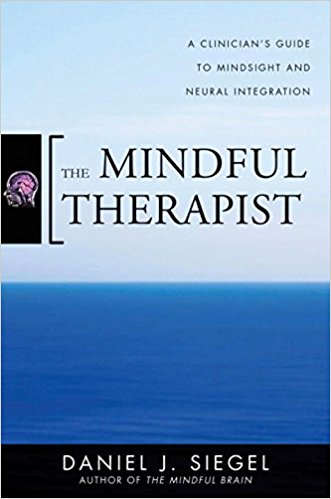 The Mindful Therapist - Daniel J Siegel MD